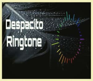 Despacito-Instrumental-Ringtone-Download-Violin-MP3