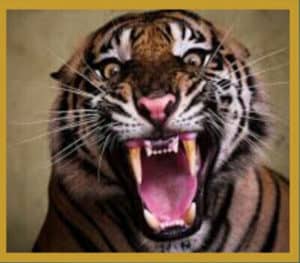 tiger-roar-ringtone