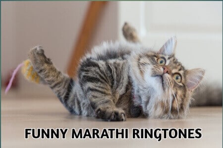 Funny Marathi Ringtones Free Download for Phone Funny Marathi Ringtones Free Download for Phone