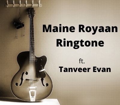 maine-royaan-instrumental-ringtone-tanveer-evan