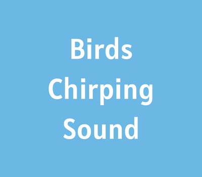 sounds-of-birds-chirping-in-the-morning-mp3-download