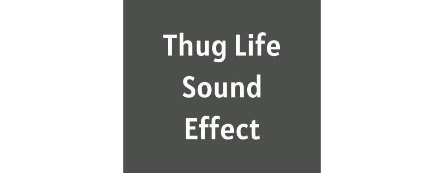 Thug Life Sound Effect Download MP3